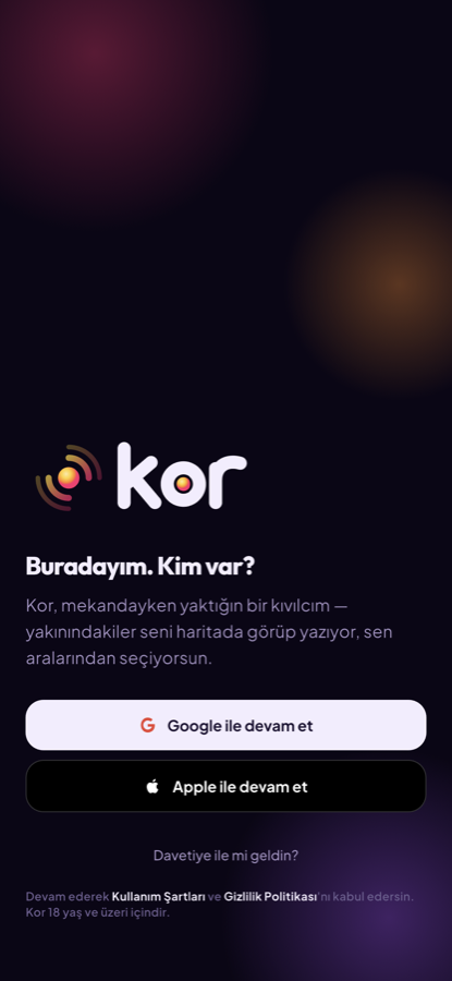 Giriş ekranı