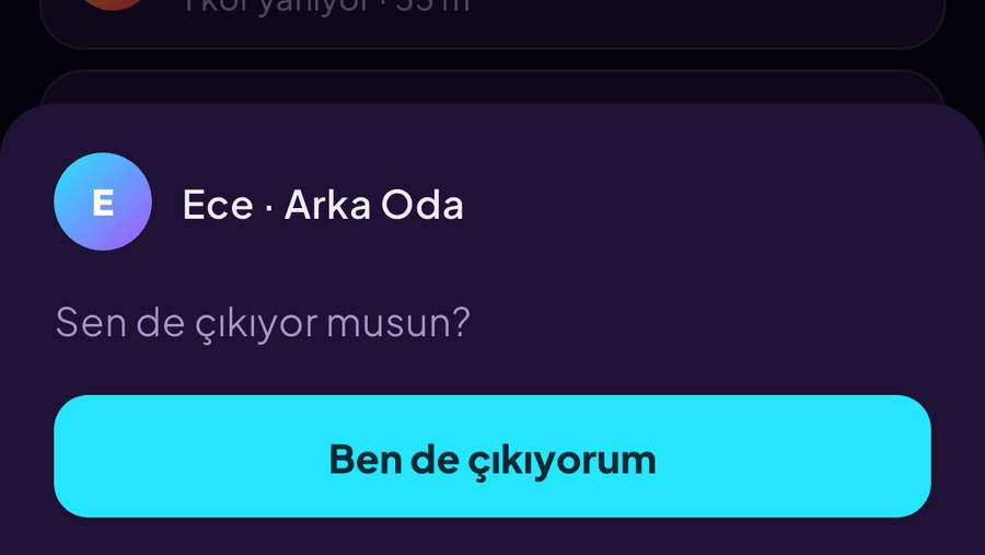 Arkadaşına cevap: ben de çıkıyorum